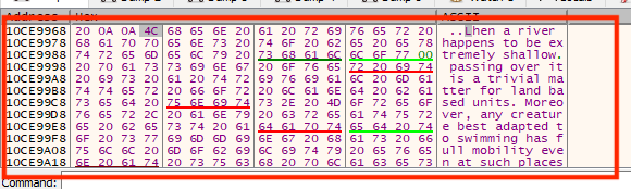 Memory Dump of Text String