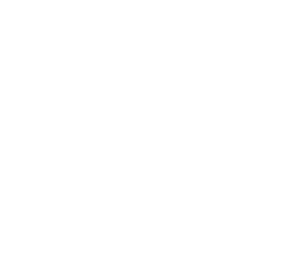 Viewport