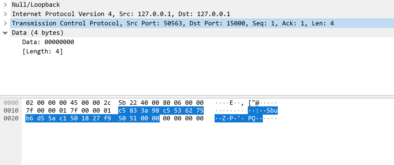Wireshark Logging