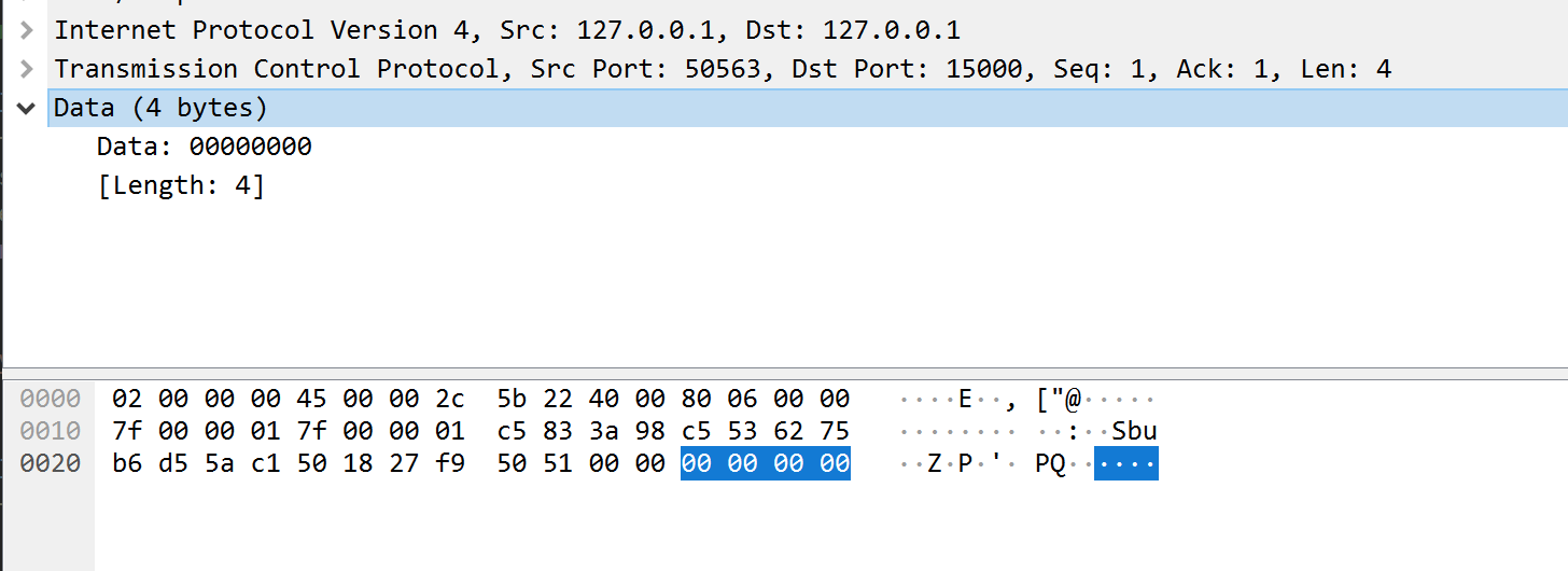 Wireshark Logging