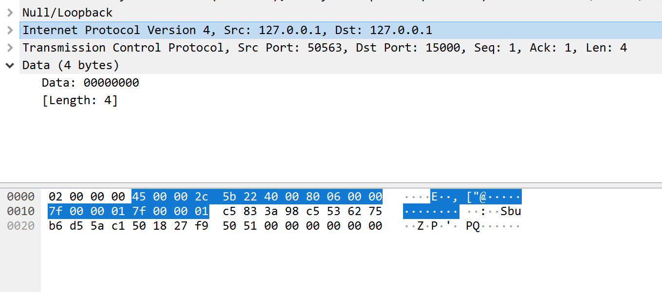 Wireshark Logging